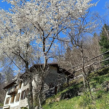 Ai Ruc Bed & Breakfast 3*